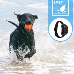Dog Training Anti Bark Device Shock Collar For Dogs With Remote Remote Controlled Adjustable Electronic 2 Receiver Rechargeable Dog Shock Collar 3 Modes Beep Vibration Dog Pets Waterproof Rechargable