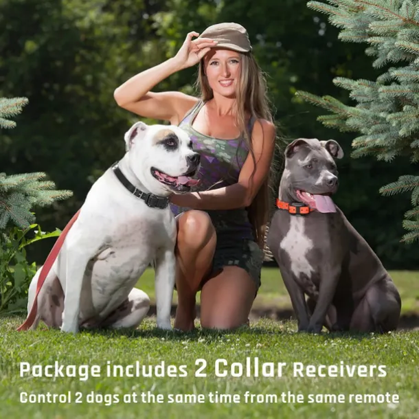 Dog Training Collar Waterproof Rechargeable 2600ft Remote Dog Shock Collar with LED Light Beep Vibration Shock for Medium/Large Breed 2 Electronic Collars Neck Lanyard