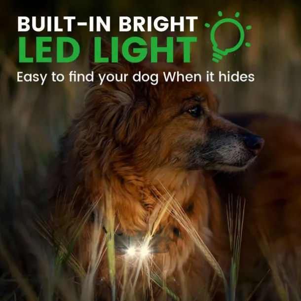 Dog Training Collar Waterproof Rechargeable 2600ft Remote Dog Shock Collar with LED Light Beep Vibration Shock for Medium/Large Breed 2 Electronic Collars Neck Lanyard