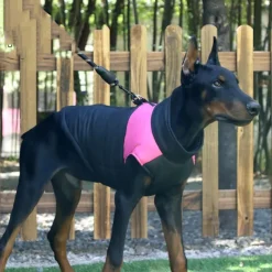 Dog Winter Coat Dog Fleece Hoodie Dog Vest Windproof Cold Weather Dog Clothes Pet Apparel for Small Medium Large Dogs