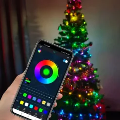 Elegant Wedding Reception Party 5m 10m Fairy LED Lights USB Dream Color Smart String Light Remote APP Controller for Room Wedding Christmas Tree Decoration