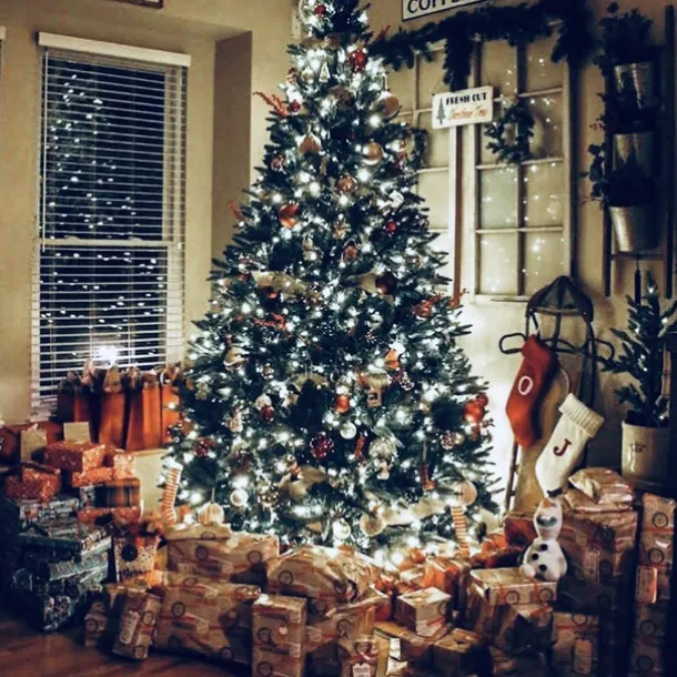 Elegant Wedding Reception Party LED Christmas Lights Indoor Outdoor Twinkle Fairy String Lights 8 Modes Waterproof Plug in for Xmas Wedding Party Decoration