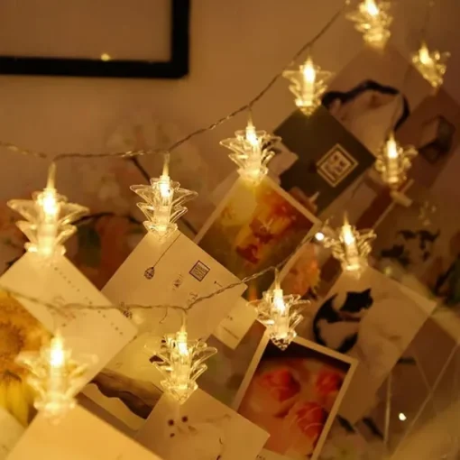 Elegant Wedding Reception Party LED Photo Clip String Lights Star Heart Butterfly for Weddings Holidays Party Christmas Bedroom Decroation 6M 40 LEDs