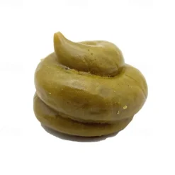 Fake Poo Realistic Fake Turd Prank Lifelike Poo Toy Gags and Practical Joke Toys for April Fools' Day Prank Party Supplies