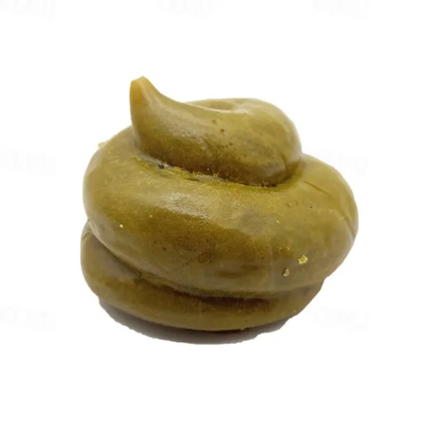 Fake Poo Realistic Fake Turd Prank Lifelike Poo Toy Gags and Practical Joke Toys for April Fools' Day Prank Party Supplies