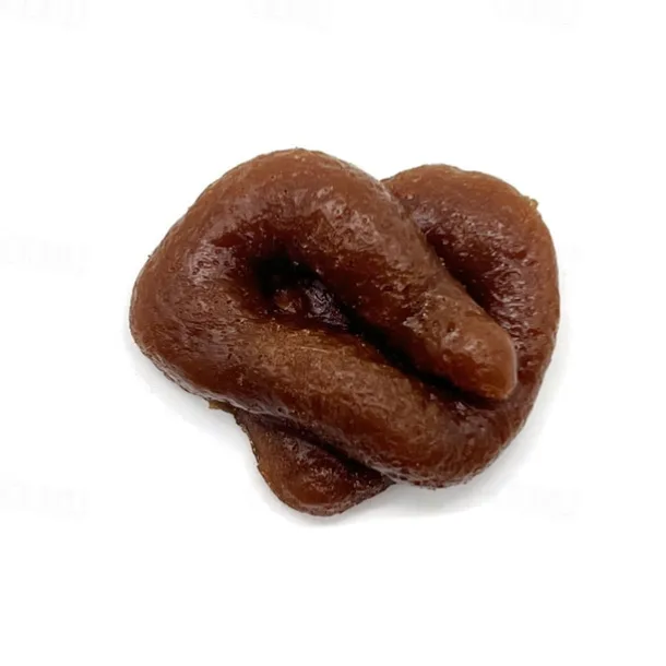 Fake Poo Realistic Fake Turd Prank Lifelike Poo Toy Gags and Practical Joke Toys for April Fools' Day Prank Party Supplies