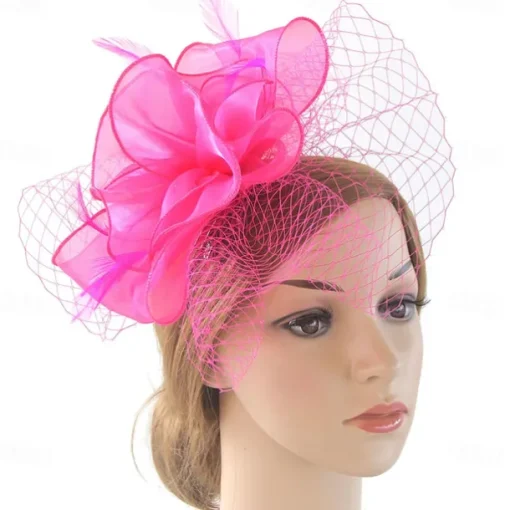 Fascinators Kentucky Derby Hat Organza Polyester / Polyamide Fedora Hat Floppy Hat Veil Hat Tea Party Horse Race Ladies Day Vintage Vintage Style Elegant With Feather Appliques
