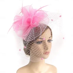 Fascinators Kentucky Derby Hat Headwear Organza Fedora Hat Holiday Cocktail Retro Elegant With Feather Pure Color Headpiece Headwear
