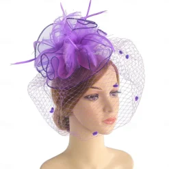 Fascinators Kentucky Derby Hat Headwear Organza Fedora Hat Holiday Cocktail Retro Elegant With Feather Pure Color Headpiece Headwear