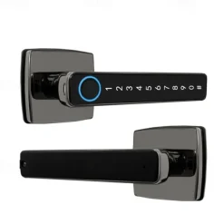 Fingerprint Password Lock Room Door Wooden Door Indoor Lock Smart Electronic Lock Office Home Bedroom Smart lock
