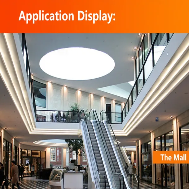 Flexible Rope LED Strip Light 220V-240V 5050 Waterproof High Safety High Brightness Warm White Blue Red Green Outdoor EU Plug