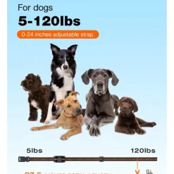 3300Ft Dog Training Collar with Remote for Small Medium Large Dogs Rechargeable Waterproof E Collar with Beep (1-8) Vibration(1-16) Safe Shock(1-99)