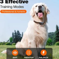3300Ft Dog Training Collar with Remote for Small Medium Large Dogs Rechargeable Waterproof E Collar with Beep (1-8) Vibration(1-16) Safe Shock(1-99)