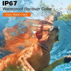 3300Ft Dog Training Collar with Remote for Small Medium Large Dogs Rechargeable Waterproof E Collar with Beep (1-8) Vibration(1-16) Safe Shock(1-99)