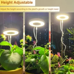 Full Spectrum Plant Growth Light Fill Light Retractable White Warm 2-color Switchable Dimming Automatic Timer