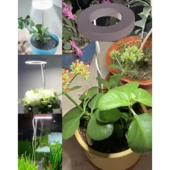 Full Spectrum Plant Growth Light Fill Light Retractable White Warm 2-color Switchable Dimming Automatic Timer