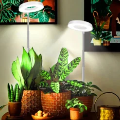 Full Spectrum Plant Growth Light Fill Light Retractable White Warm 2-color Switchable Dimming Automatic Timer