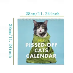 Funny Pissed Off Cat Calendar 2025 Wall Calendar Planner Monthly Planner Calendar Cats Funny Sayings Family Organizer Wall Calendars Planner Calendar Gift