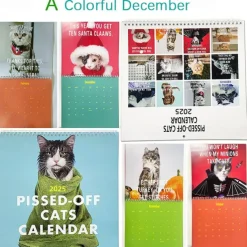 Funny Pissed Off Cat Calendar 2025 Wall Calendar Planner Monthly Planner Calendar Cats Funny Sayings Family Organizer Wall Calendars Planner Calendar Gift