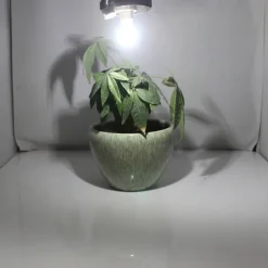 G9 LED Corn Light 220V SMD 2835 Bulb Spotlight for Chandelier Replace 30W 40W 50W Halogen Lamp 14 LEDs 4pcs