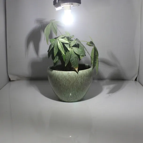 G9 LED Corn Light 220V SMD 2835 Bulb Spotlight for Chandelier Replace 30W 40W 50W Halogen Lamp 14 LEDs 4pcs