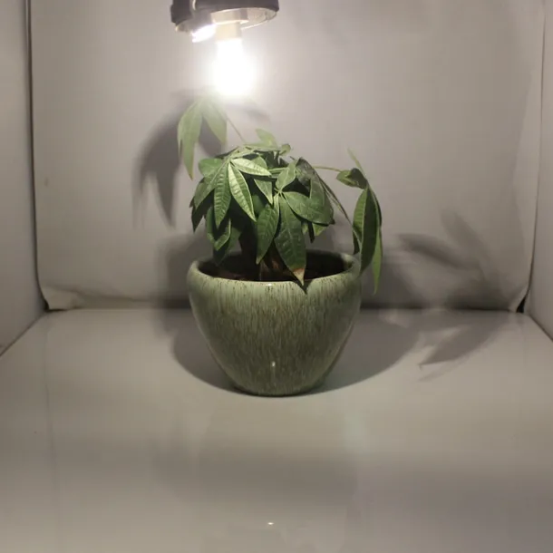 G9 LED Corn Light 220V SMD 2835 Bulb Spotlight for Chandelier Replace 30W 40W 50W Halogen Lamp 14 LEDs 4pcs