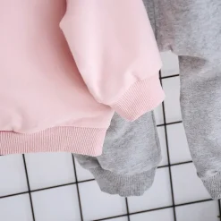 Girls' 3D Animal Cartoon Hoodie & Sweatpants Set Clothing Set Long Sleeve Fall Winter Fashion Casual Kids 2-6 Years Vacation Regular Fit