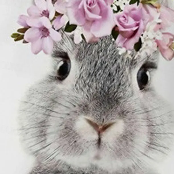 Girls' 3D Animal Rabbit Bunny Sweatshirt Long Sleeve 3D Print Summer Fall Fashion Streetwear Adorable Kids 3-12 Years Outdoor Casual Daily Regular Fit