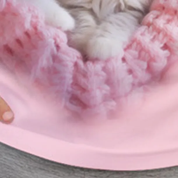 Girls' 3D Cat Tee Shirt Pink Short Sleeve 3D Print Summer Active Fashion Cute Polyester Kids 3-12 Years Crew Neck Outdoor Casual Daily Regular Fit