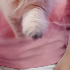 Girls' 3D Cat Tee Shirts Pink Short Sleeve 3D Print Summer Active Fashion Cute Polyester Kids 3-12 Years Crew Neck Outdoor Casual Daily Regular Fit