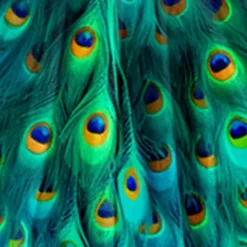 Girls' 3D Graphic Dress Long Sleeve 3D Print Summer Fall Vacation Sports & Outdoor Daily Cute Casual Beautiful Kids 3-12 Years Casual Dress A Line Dress Above Knee Regular Fit