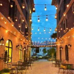 Globe String Lights Outdoor 5M 10Bulb/10M 20Bulb S14 Edison Plastic LED Bulb Patio Lights ETL Listed Waterproof IP65 Plastic Hanging Lights String for Outside Backyard Garden