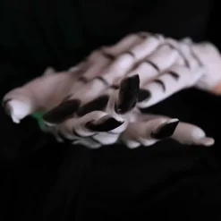 Halloween Gloves Long Ghost Claw Dress up Gloves Fashion Long Nail Role Play Theme Party Funny Witch Gloves Halloween Props Makeup Ball Party Supplies Party Dress up Horror Women's White Ghost Gloves