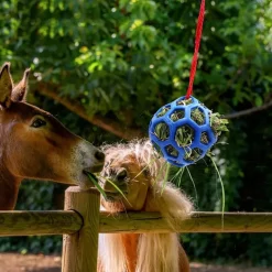 Horse Feeding Toy Ball Hanging Horse Toy Stable Feeding Ball, Stretch Resistant TPR Hay Feeder Toy Ball