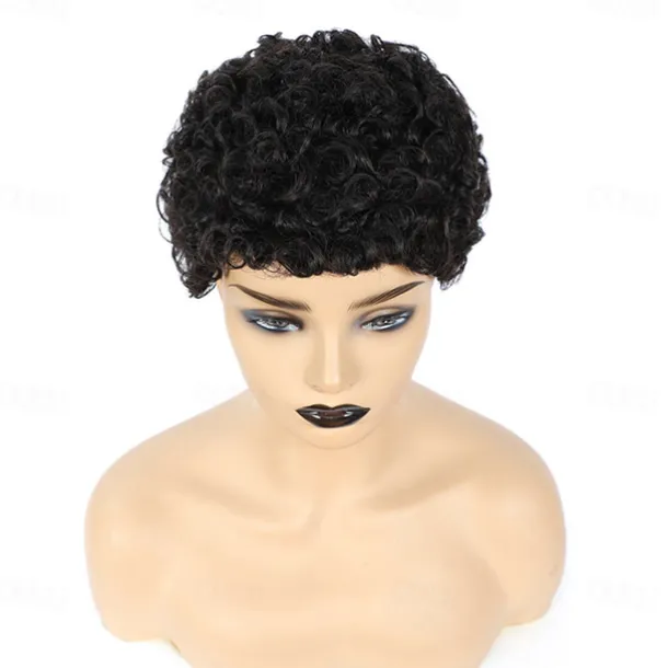 Human Hair Wig Short Afro Curly Pixie Cut Natural Black Women Party Fashion Capless Brazilian Hair Women's Black Vacation Party / Evening Daily