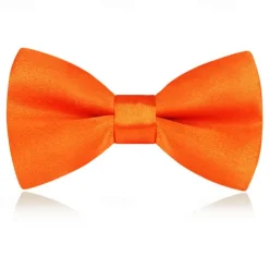 Kids Boys Girls' Ties & Bows Active Basic Party Birthday Solid Color Silver Apple Green