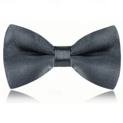 Kids Boys Girls' Ties & Bows Active Basic Party Birthday Solid Color Silver Apple Green