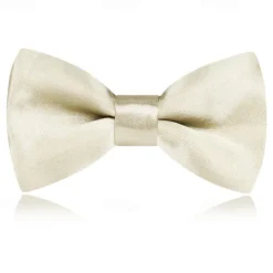 Kids Boys Girls' Ties & Bows Active Basic Party Birthday Solid Color Silver Apple Green