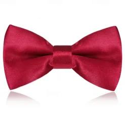 Kids Boys Girls' Ties & Bows Active Basic Party Birthday Solid Color Silver Apple Green