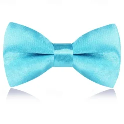 Kids Boys Girls' Ties & Bows Active Basic Party Birthday Solid Color Silver Apple Green