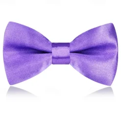 Kids Boys Girls' Ties & Bows Active Basic Party Birthday Solid Color Silver Apple Green