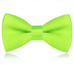 Kids Boys Girls' Ties & Bows Active Basic Party Birthday Solid Color Silver Apple Green