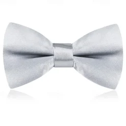 Kids Boys Girls' Ties & Bows Active Basic Party Birthday Solid Color Silver Apple Green