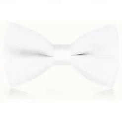 Kids Boys Girls' Ties & Bows Active Basic Party Birthday Solid Color Silver Apple Green