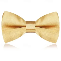 Kids Boys Girls' Ties & Bows Active Basic Party Birthday Solid Color Silver Apple Green