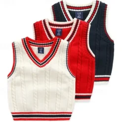Kids Boys Sweater Color Block Sleeveless Patchwork School Daily White Fall Clothes 4 years+