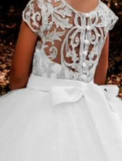 Kids Girls' Flower Girl Dress Dress Floral Solid Colored Short Sleeve Wedding Party Birthday Lace Ruched Mesh Cute Princess Polyester Maxi A Line Dress Tulle Dress Flower Girl's Dress Summer Fall