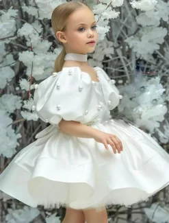 Kids Girls' Flower Girl Dress Dress Solid Color Solid Colored Short Sleeve Formal Wedding Party Ruched Mesh Puff Sleeve Cute Sweet Polyester Above Knee A Line Dress Tulle Dress Flower Girl's Dress
