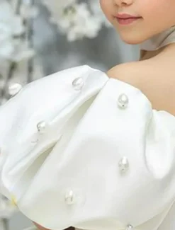 Kids Girls' Flower Girl Dress Dress Solid Color Solid Colored Short Sleeve Formal Wedding Party Ruched Mesh Puff Sleeve Cute Sweet Polyester Above Knee A Line Dress Tulle Dress Flower Girl's Dress