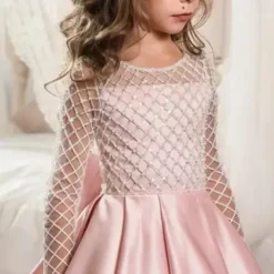 Kids Girls' Flower Girl Dress Party Dress Solid Color Long Sleeve Performance Wedding Party Mesh Princess Sweet Mesh Mid-Calf Sheath Dress Tulle Dress Flower Girl's Dress Summer Spring Fall 2-12 Years